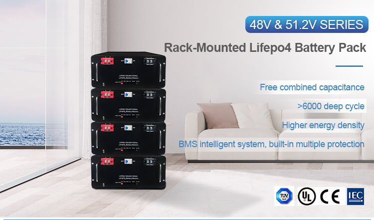 Exciting New Release of Rack lifepo4 battery pack Products