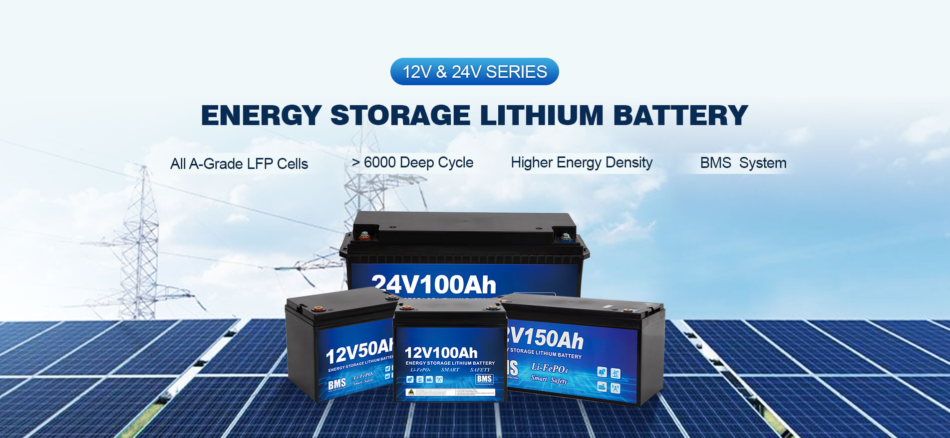 Lithium Iron Phosphate Battery